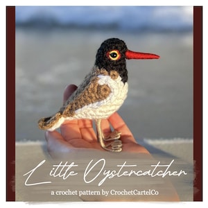 May include: A handmade crochet bird with a black head, brown and white body, and a red beak. The bird is held in a hand, with the text "Little Oystercatcher" and "a crochet pattern by CrochetCartelCo" below it.