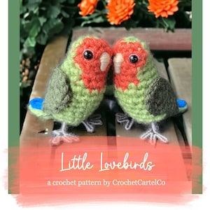 May include: Two handmade crochet lovebirds. The birds have red heads, green bodies, and blue tail feathers. The text "Little Lovebirds" and "a crochet pattern by CrochetCartelCo" are displayed on a coral-colored banner.