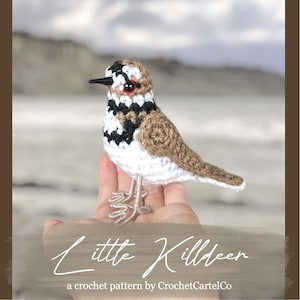 Little Killdeer Written Crochet Pattern | Realistic Crochet Bird Amigurumi | Plover Shorebird | INSTANT DOWNLOAD PDF | Step-by-Step Pics