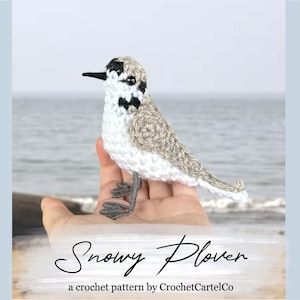Snowy Plover Written Crochet Pattern | Realistic Crochet Amigurumi Bird Pattern | Beach Bird | INSTANT DOWNLOAD PDF | Step-by-Step Pics