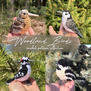 Könnte beinhalten: Vier handgefertigte Häkelvögel in verschiedenen Farben und Mustern werden vor einem Hintergrund aus grünem Laubwerk gezeigt. Der Text "Woodland Birds crochet pattern collection" ist im Bild enthalten.