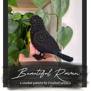 Beautiful Raven Written Crochet Pattern | Crochet Bird Amigurumi | Blackbird / Raven | INSTANT DOWNLOAD | PDF | Step by Step Pictures