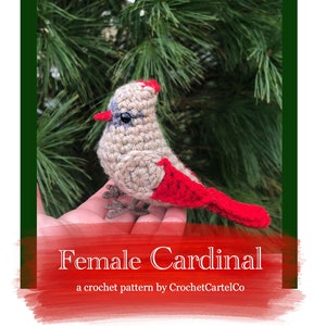 Female Cardinal Written Crochet Pattern | Crochet Amigurumi | Realistic Bird Crochet Plush | INSTANT DOWNLOAD PDF | Step-by-Step