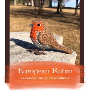 Little European Robin Written Crochet Pattern | Realistic Bird Crochet Pattern | Robin Redbreast | INSTANT DOWNLOAD PDF | Step-by-Step Pics