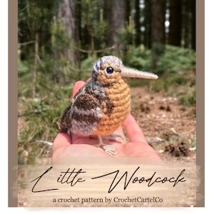 Può includere: Un uccello amigurumi di beccaccia all'uncinetto in marrone, beige e grigio con accenti bianchi. L'uccello è seduto nella mano di una persona. Lo sfondo è un'immagine sfocata di una foresta.