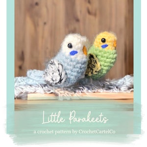 Little Parakeets Written Crochet Pattern | Realistic Budgie Crochet Pattern | Bird Amigurumi Pattern | INSTANT DOWNLOAD PDF | Step-by-Step