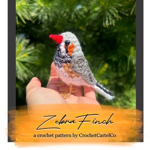 Patrón de ganchillo para pinzón cebra / Pájaro amigurumi de ganchillo / Patrón de ganchillo para pinzón / DESCARGA INSTANTÁNEA en PDF / Imágenes paso a paso