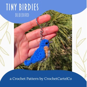 Tiny Birdies Crochet Bluebird Written Crochet Pattern Garden Birds Crochet Keychain INSTANT DOWNLOAD PDF Step-By-Step Pictures image 1