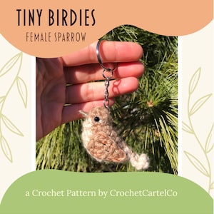 Tiny Birdies Crochet Female Sparrow Written Crochet Pattern | Garden Birds Crochet Keychain | INSTANT DOWNLOAD | PDF | Step-By-Step Pictures
