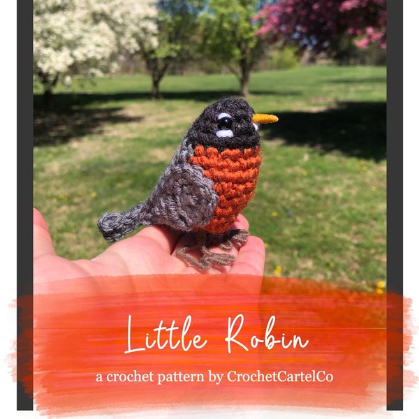 Little Robin Written Crochet Pattern | Realistic Garden Bird Crochet Pattern | American Robin | INSTANT DOWNLOAD PDF | Step-by-Step Pics