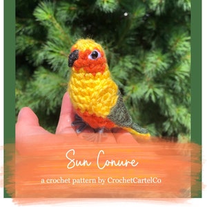 Sun Conure Written Crochet Pattern | Realistic Parrot Crochet Pattern | Bird Amigurumi Pattern | INSTANT DOWNLOAD PDF | Step-by-Step