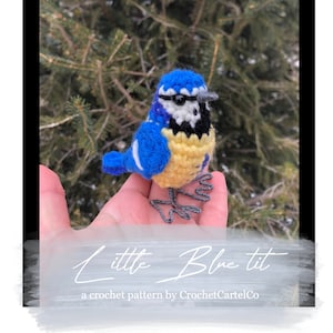 Geschreven haakpatroon pimpelmees | Realistisch haakpatroon vogel | Tuinvogel | DIRECTE DOWNLOAD PDF | Stapsgewijze afbeeldingen