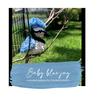 Baby Blue Jay Written Crochet Pattern | Crochet Amigurumi | INSTANT DOWNLOAD | PDF | Beginner Friendly & Easy to Follow