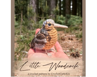 Little Woodcock Written Crochet Pattern | Crochet Bird Amigurumi