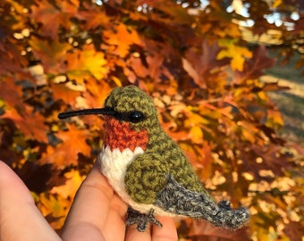 May include: A crocheted hummingbird with green, gray, white, and red yarn. The hummingbird is perched on a hand with a blurred background of fall foliage.
