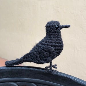 Crochet Little Crow | Blackbird / Raven | Crochet Amigurumi | Crochet Plush Toy Figure | Realistic Bird Figure | Physical Item
