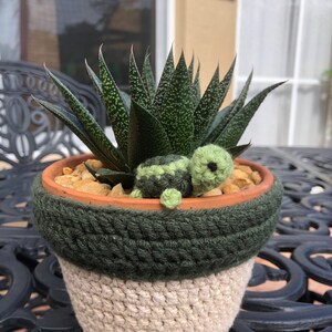 Mini Crochet Turtles