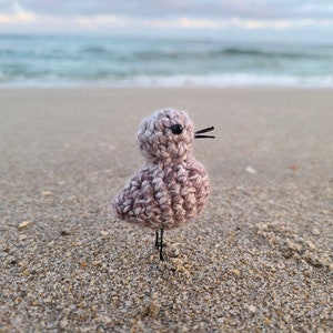 Crochet Friendly Baby Spotted Sandpipers | Realistic Crochet Amigurumi | Piper Plush | Plover | Beach Bird Plush | Shorebird