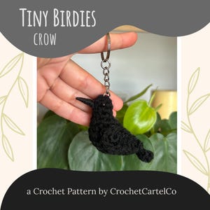 Tiny Birdies Crow Keychain Written Crochet Pattern | Blackbird / Raven Bird Crochet Pattern | INSTANT DOWNLOAD PDF | Step-By-Step Pictures