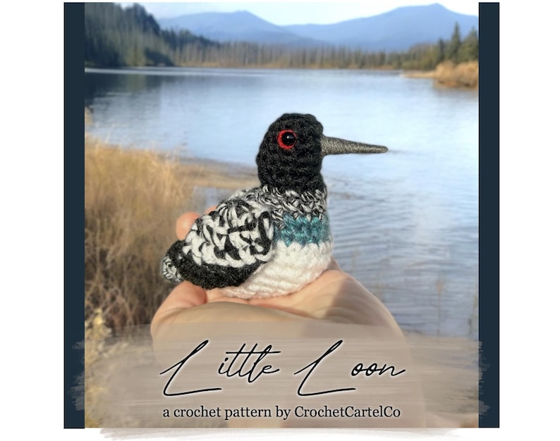May include: A crocheted loon bird with black, white, and blue yarn. The bird has red eyes and a long beak. The bird is sitting in a person's hand. The background is a blurry image of a lake and mountains. The text "Little Loon" and "a crochet pattern by CrochetCartelCo" is below the bird.