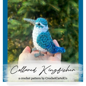 Collared Kingfisher Written Crochet Pattern | Realistic Bird Crochet Pattern | Bird Amigurumi | INSTANT DOWNLOAD PDF | Step-by-Step Pictures