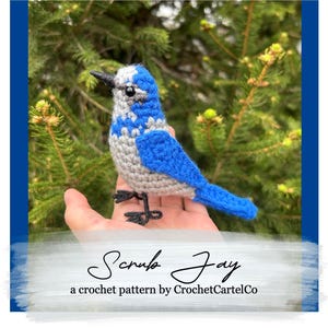 以下が含まれることがあります： グレーの体と黒い目をした、青い鳥の編みぐるみ。鳥は緑色の常緑樹の前、手のひらの上に座っています。鳥の下には「Scruf Jay」と「a crochet pattern by CrochetCartelCo」の文字があります。