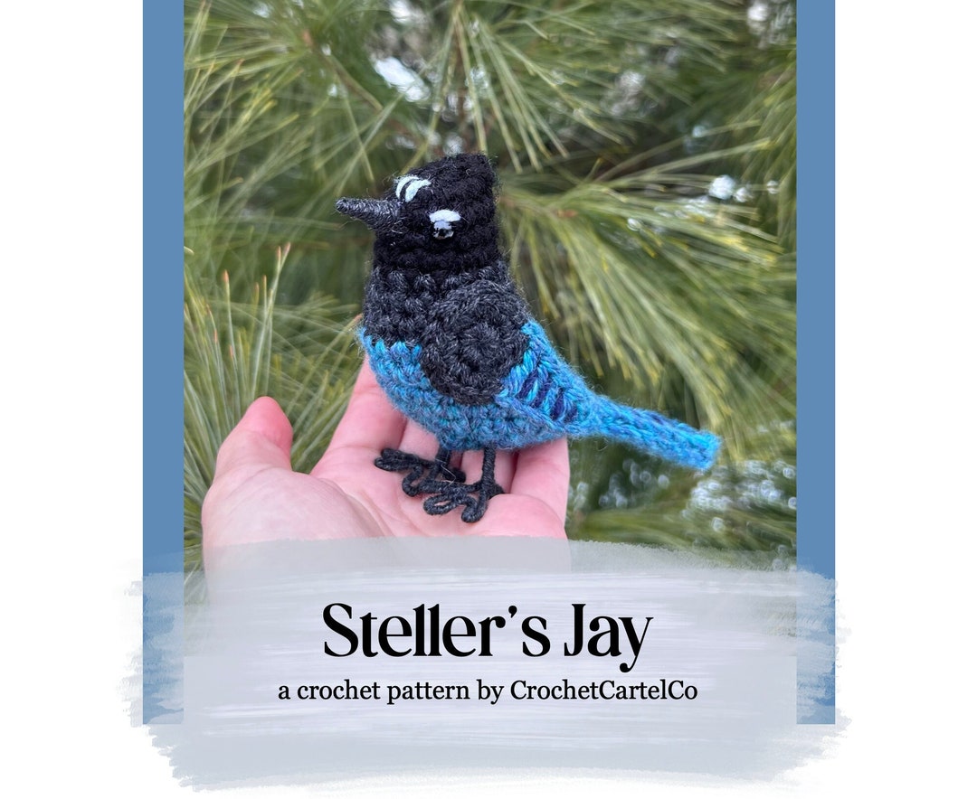 Steller's Jay Written Crochet Pattern Realistic Bird Crochet Pattern
