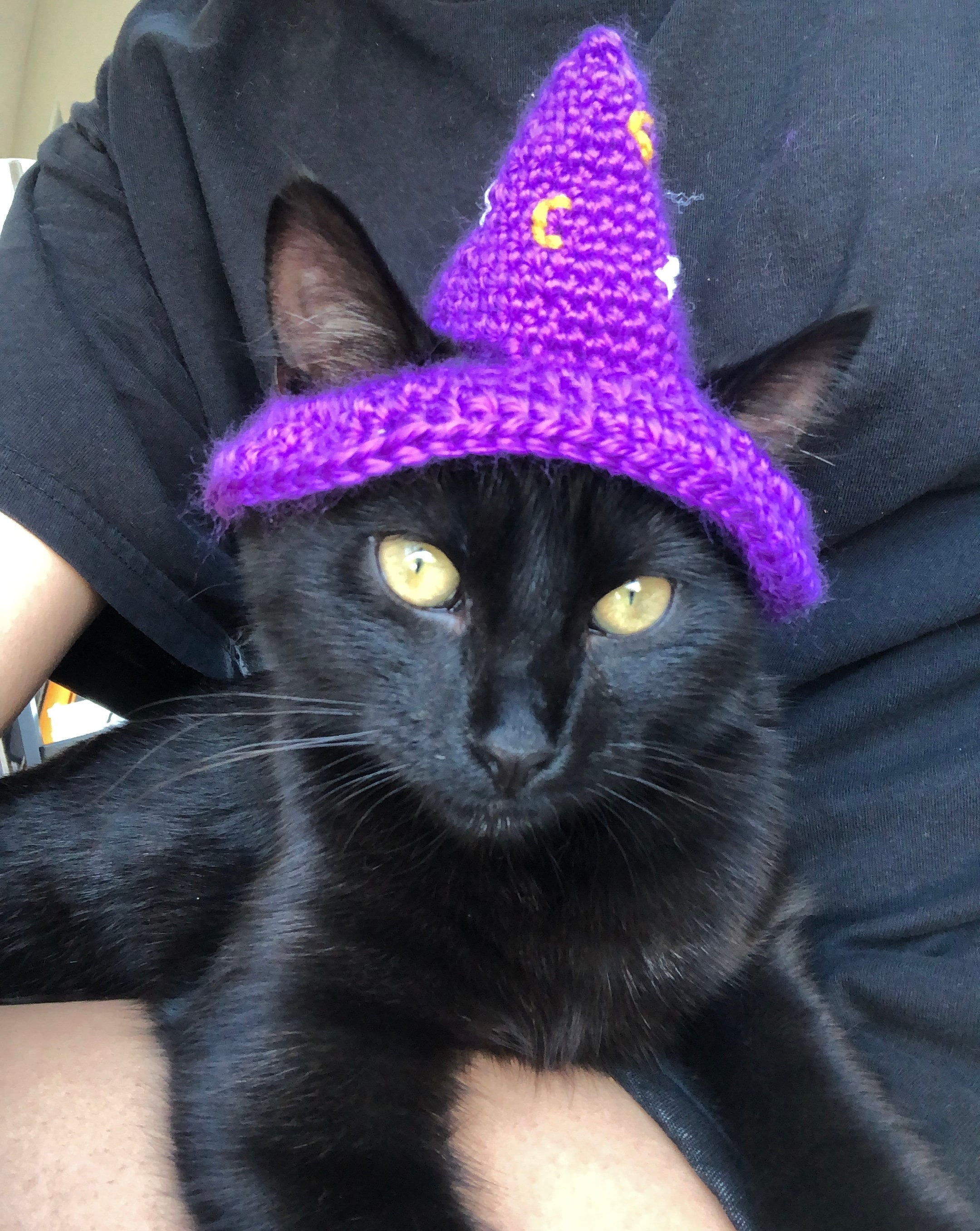 Purple Wizard Cat Hat Wizard Hat for Cat Wizard Hat for 