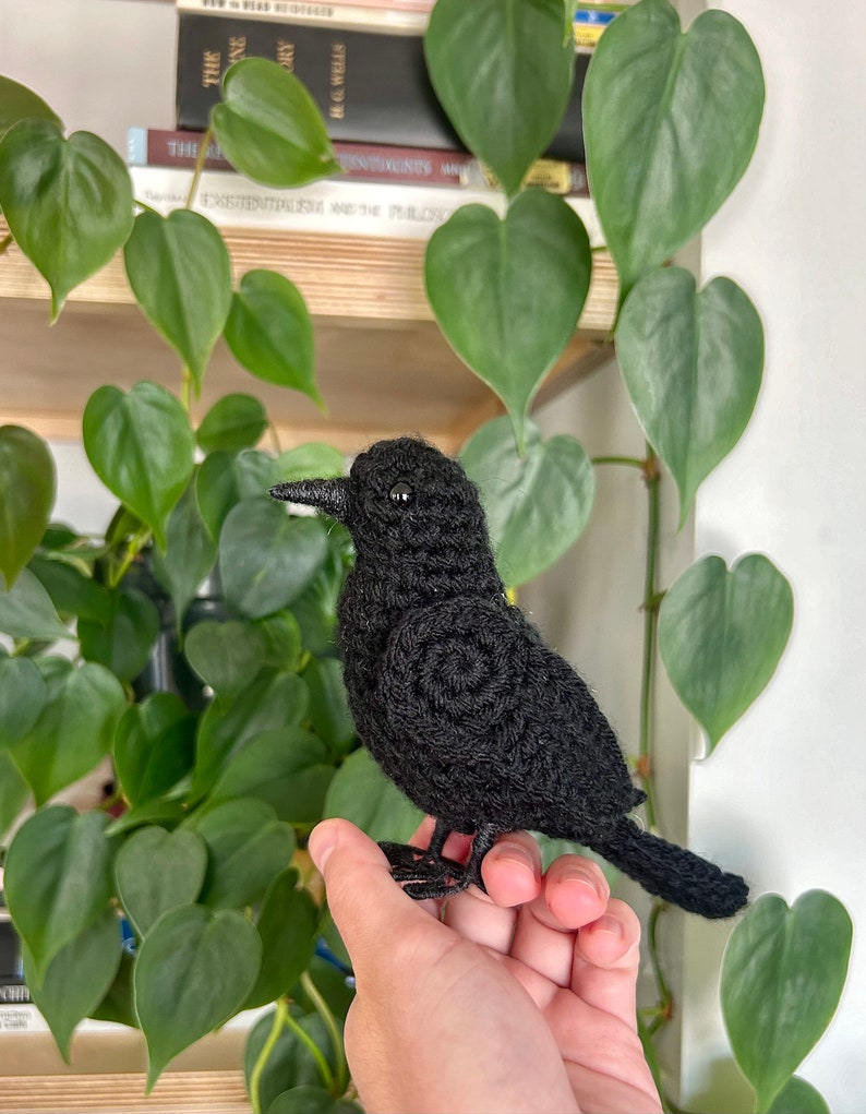 May include: A black crocheted bird with a small, round body and a long, thin beak. The bird is perched on a hand.