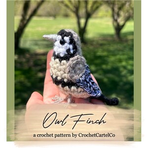 May include: A crocheted owl finch, a small bird with a gray, black, and white color scheme. The bird is sitting on a hand, with a blurred background of green trees and grass. The text "Owl Finch" is written in cursive below the bird, with the words "a crochet pattern by CrochetCartelCo" below that.