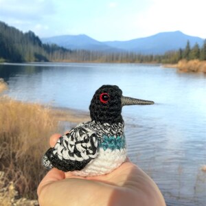 May include: A crocheted bird with black, white, and teal feathers. The bird has red eyes and a long black beak. The bird is being held in a hand against a background of a lake and mountains.