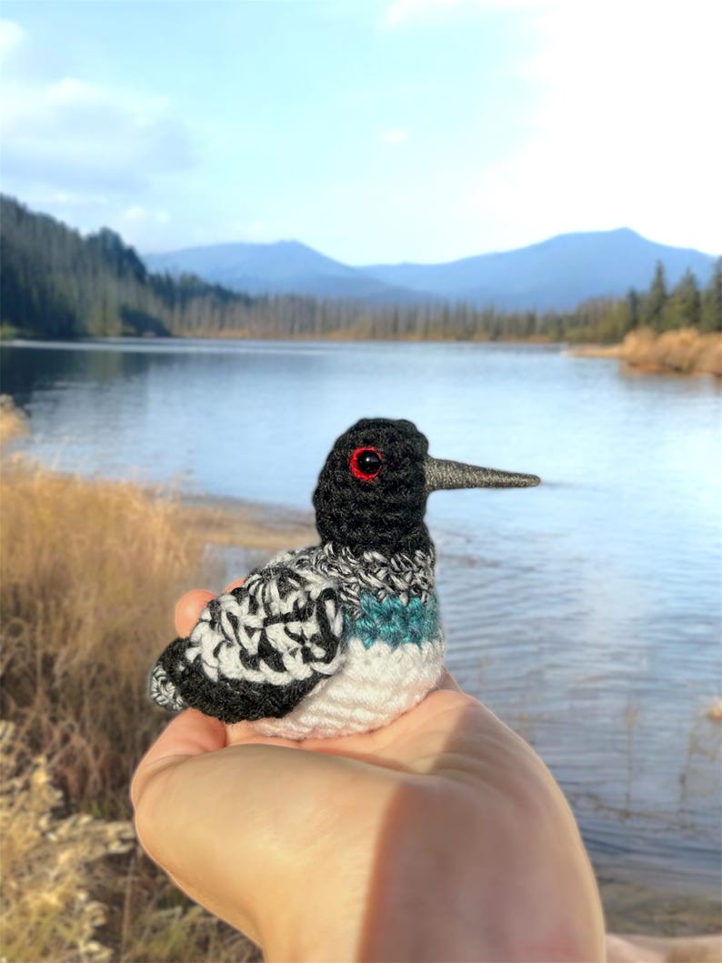 May include: A crocheted bird with black, white, and teal feathers. The bird has red eyes and a long black beak. The bird is being held in a hand against a background of a lake and mountains.