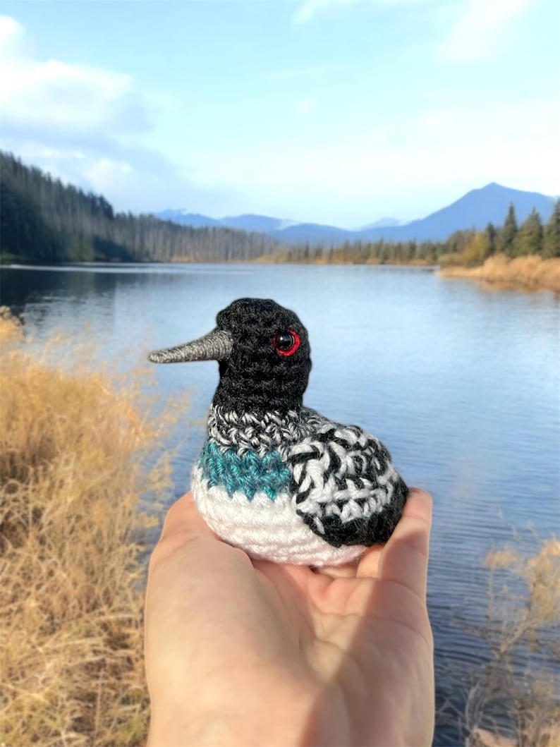 May include: A crocheted loon with black, white, and teal colored yarn. The loon has red eyes and a long, thin beak. The loon is sitting in a person's hand.