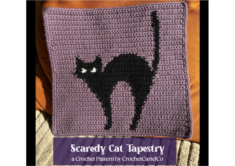 Pode incluir: Uma tape&ccedil;aria de croch&ecirc; roxa com uma silhueta de gato preto. O gato tem olhos brancos e est&aacute; em uma pose de gato assustado. O texto "Scaredy Cat Tapestry" est&aacute; abaixo da imagem. O texto "a Crochet Pattern by CrochetCartelCo" est&aacute; abaixo do t&iacute;tulo.