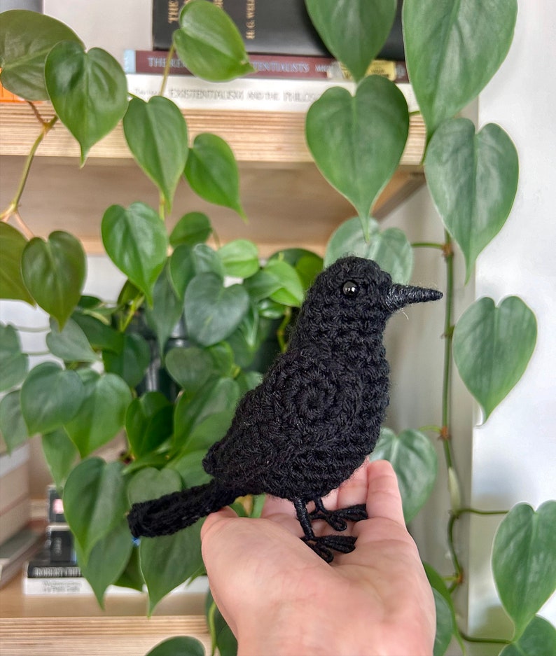 May include: A black crocheted bird with bead eyes. The bird is perched on a hand.