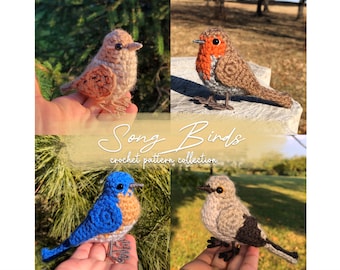 Paquete de patrones de crochet de pájaros cantores / 4 pájaros realistas de crochet (patrón escrito) / Gorrión hembra, petirrojo, azulejo, sinsonte / DESCARGA EN PDF