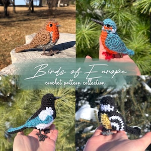 Puede incluir: Una colección de patrones de crochet de pájaros que incluyen un petirrojo, un martín pescador, una urraca y un carbonero común. Los patrones se titulan "Birds of Europe crochet pattern collection".
