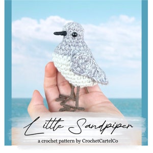 Little Sandpiper Written Crochet Pattern | Realistic Crochet Amigurumi Bird Pattern | Beach Bird | INSTANT DOWNLOAD PDF | Step-by-Step Pics