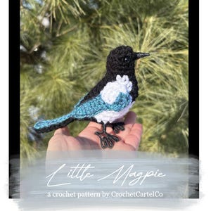 Padrão de crochê para pega-rabuda | Padrão realista de pássaro | Amigurumi de pega-rabuda | Download instantâneo em PDF | Fotos passo a passo