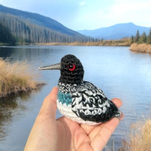 May include: A crocheted loon bird with black, white, and blue yarn. The loon has red eyes and a long, thin beak. The bird is being held in a hand against a background of a lake and mountains.