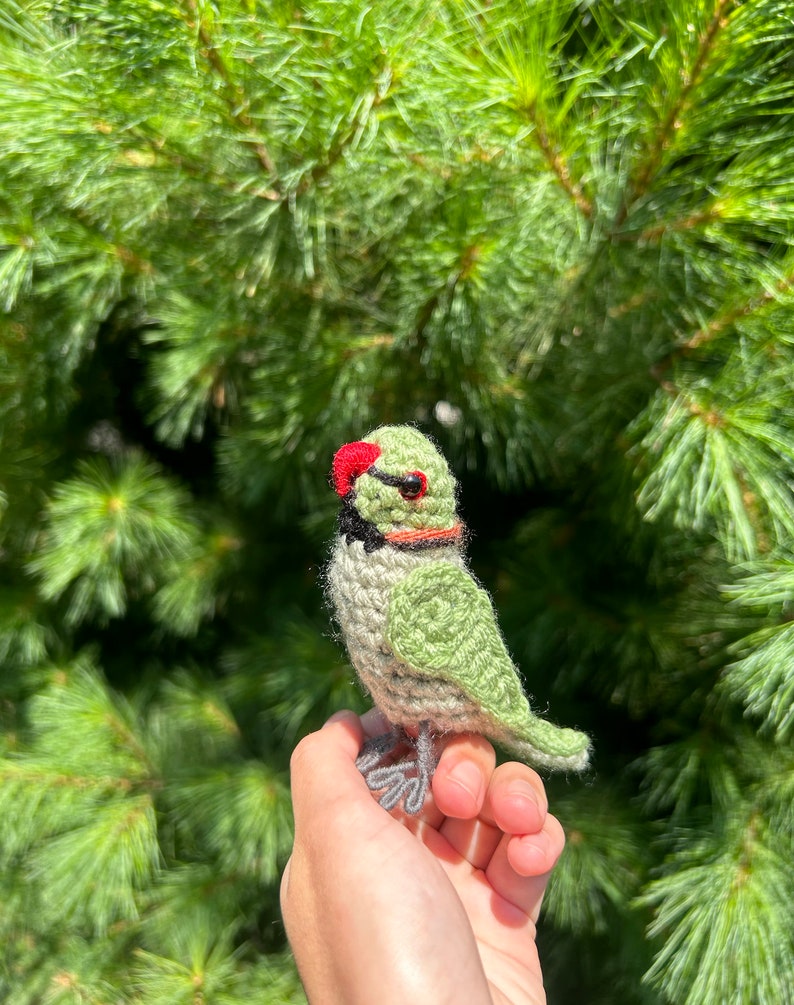Crochet Rose-ringed Parakeet | Realistic Bird Figure | Crochet Parrot ...