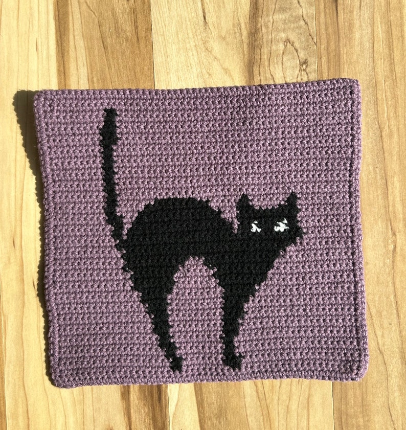 Pode incluir: Uma bolsa de cor roxa feita de croch&ecirc; com um design de gato preto. O gato tem olhos brancos e est&aacute; olhando para o lado direito da imagem.