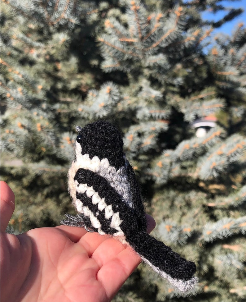 Little Chickadee Written Crochet Pattern | Realistic Bird Crochet ...