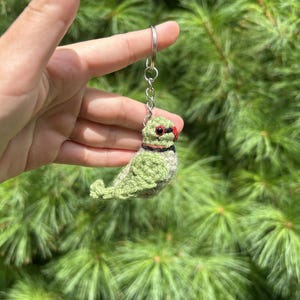 Tiny Birdies Rose-ringed Parakeet Keychain | Crochet Indian Ring Neck ...