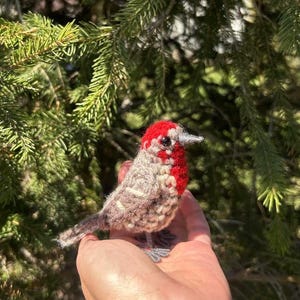 May include: A handmade crochet bird with a red head and a gray and beige body. The bird has a silver beak and is held in a person's hand. The background is a blurred view of green pine needles.