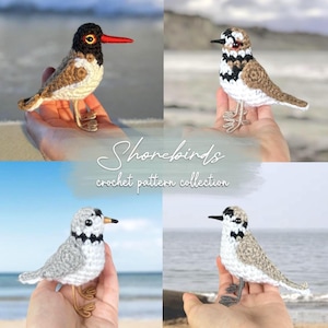 May include: Four crochet shorebird patterns are shown, each with a unique design and colour palette. The birds feature wire legs and are set against a beach background. The text "Shorebirds crochet pattern collection" is also visible.