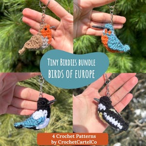 Może przedstawiać: Kolekcja czterech szydełkowych breloków w kształcie ptaków. Ptaki są w różnych kolorach, w tym pomarańczowym, niebieskim, czarnym i białym. Widoczny jest również tekst "Tiny Birdies Bundle Birds of Europe" i "4 Crochet Patterns by CrochetCartelCo".