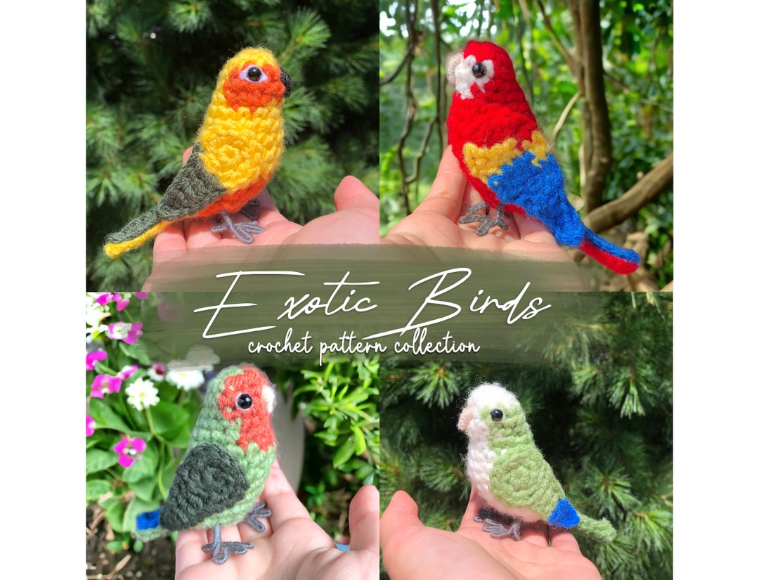 Exotic Birds Crochet Pattern Bundle | 4 Realistic Crochet Birds Written ...