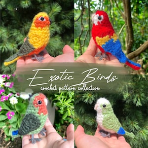 Pode incluir: Uma coleção de quatro padrões de crochê de pássaros exóticos. Os pássaros são uma arara vermelha e azul, uma conura amarela e verde, um periquito verde e vermelho e um periquito verde e branco. Os padrões estão disponíveis para compra como download digital.