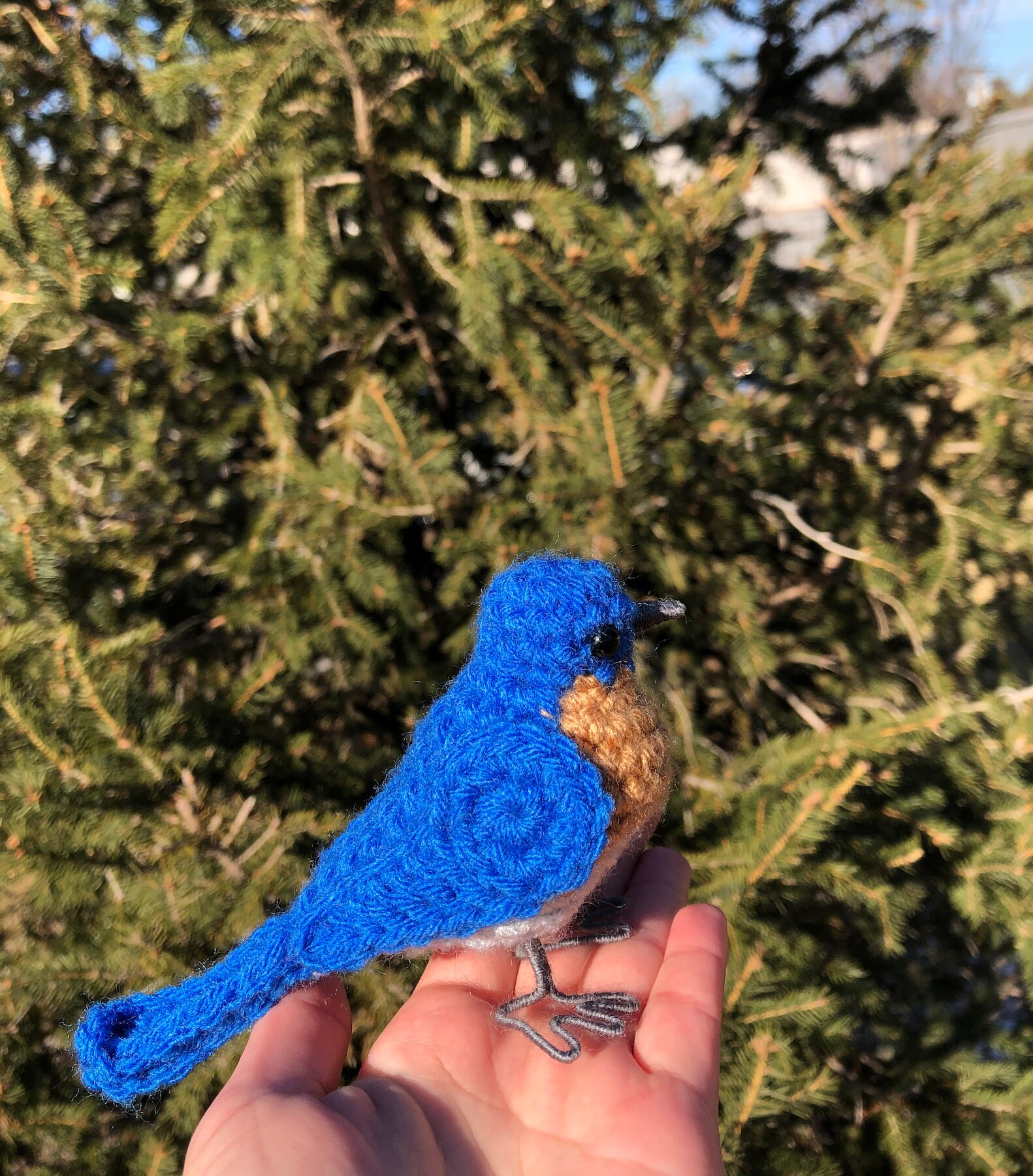 Animal Crochet Kit. Woodland Crafting. Blue Tit Bird Advanced Kit. Garden  Lovers Gift. Rosa Blue Tit Crochet Pattern by Wool Couture -  Sweden
